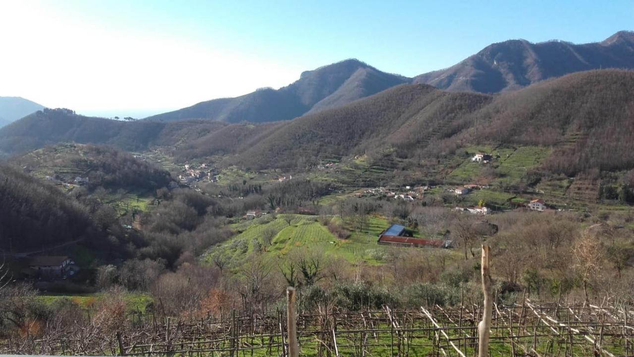 La Casa In Vigna Villa Tramonti Exterior photo